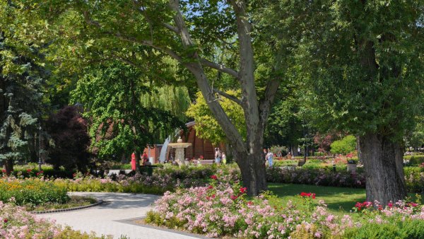 A Tranquil Green Haven in the Heart of Busko-Zdrój - Galleries (6 / 17)